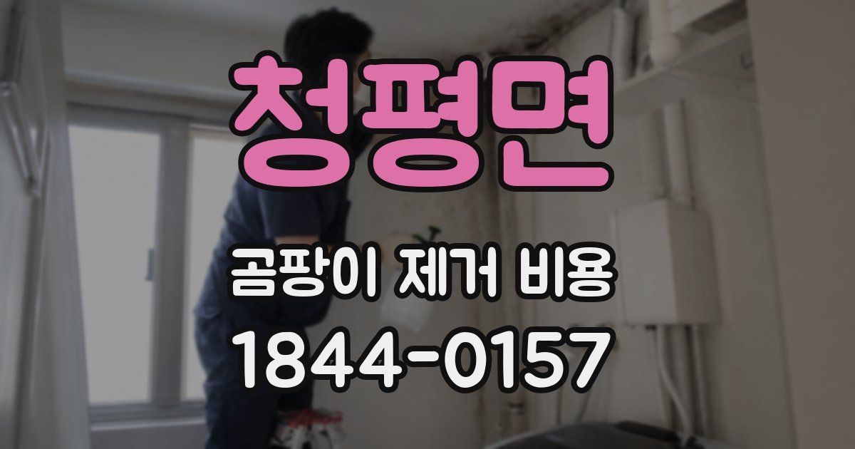 청평면 곰팡이 제거 비용