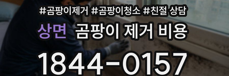 상면 곰팡이 제거 비용
