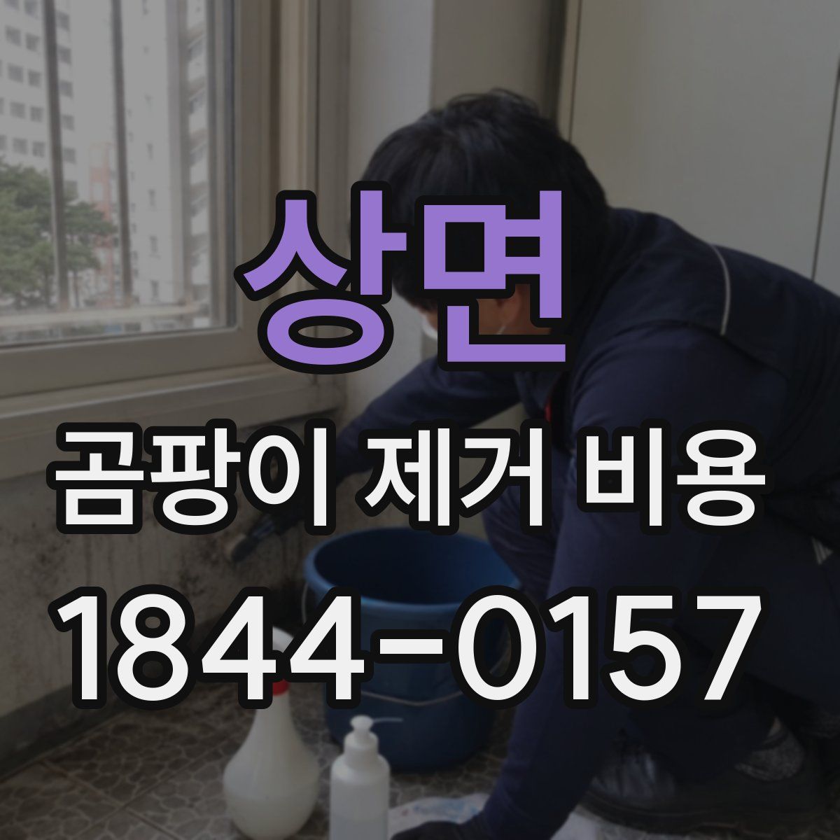 상면 곰팡이 제거 비용