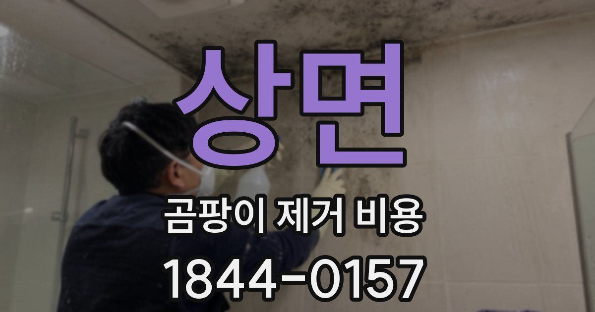 상면 곰팡이 제거 비용