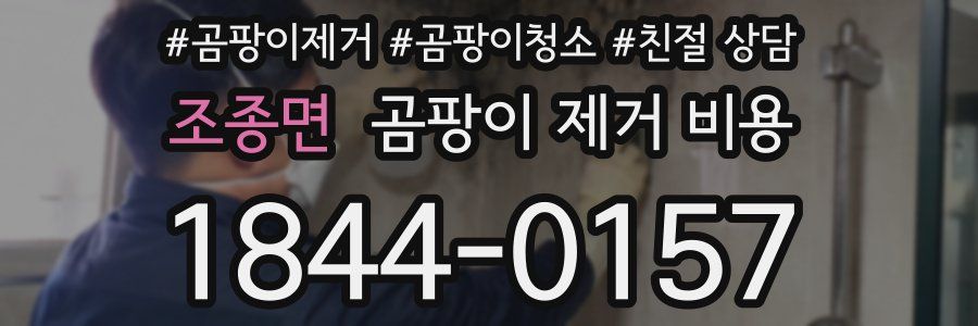 조종면 곰팡이 제거 비용