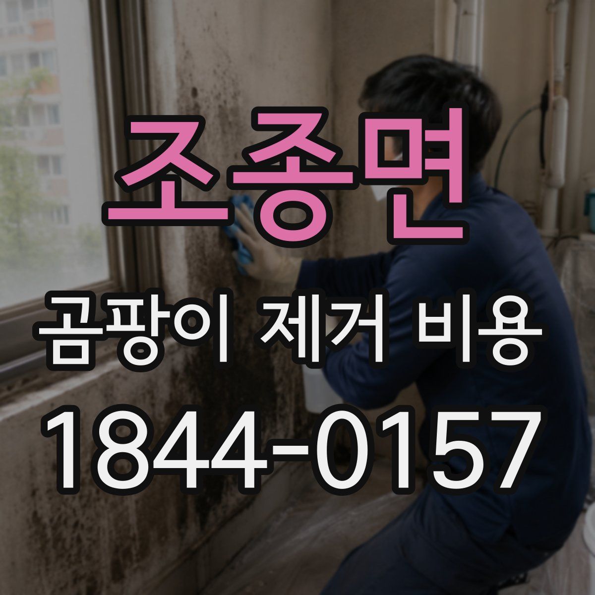 조종면 곰팡이 제거 비용