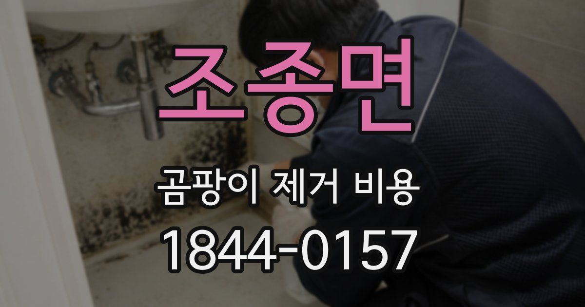 조종면 곰팡이 제거 비용
