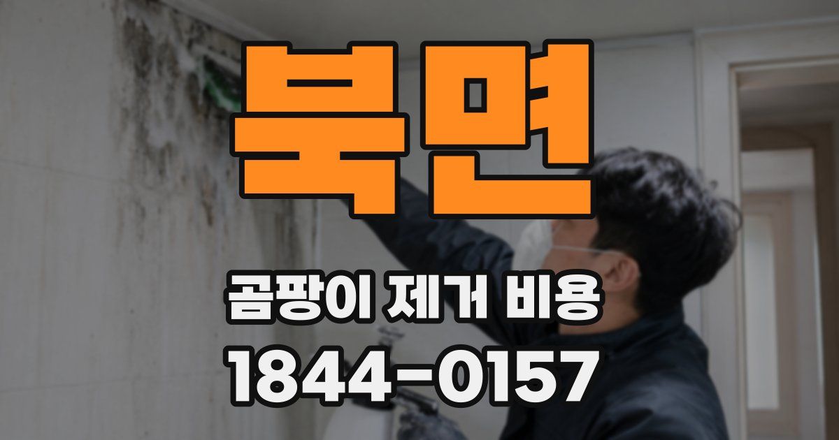 북면 곰팡이 제거 비용