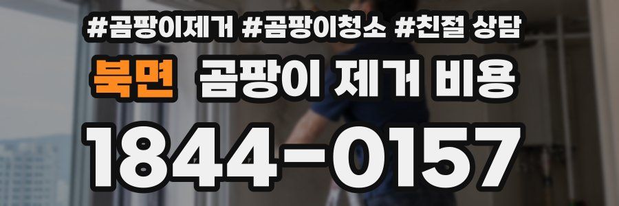 북면 곰팡이 제거 비용