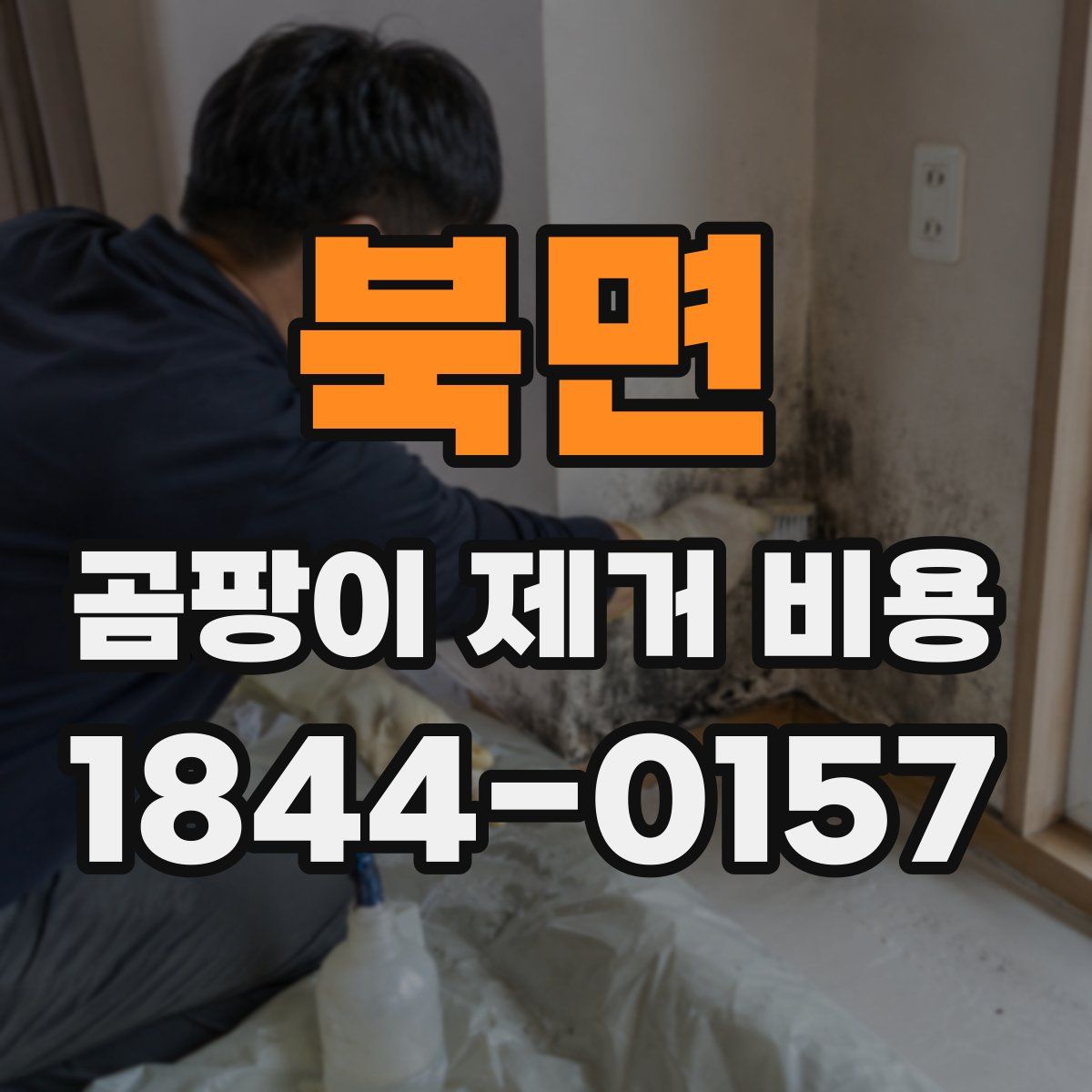 북면 곰팡이 제거 비용
