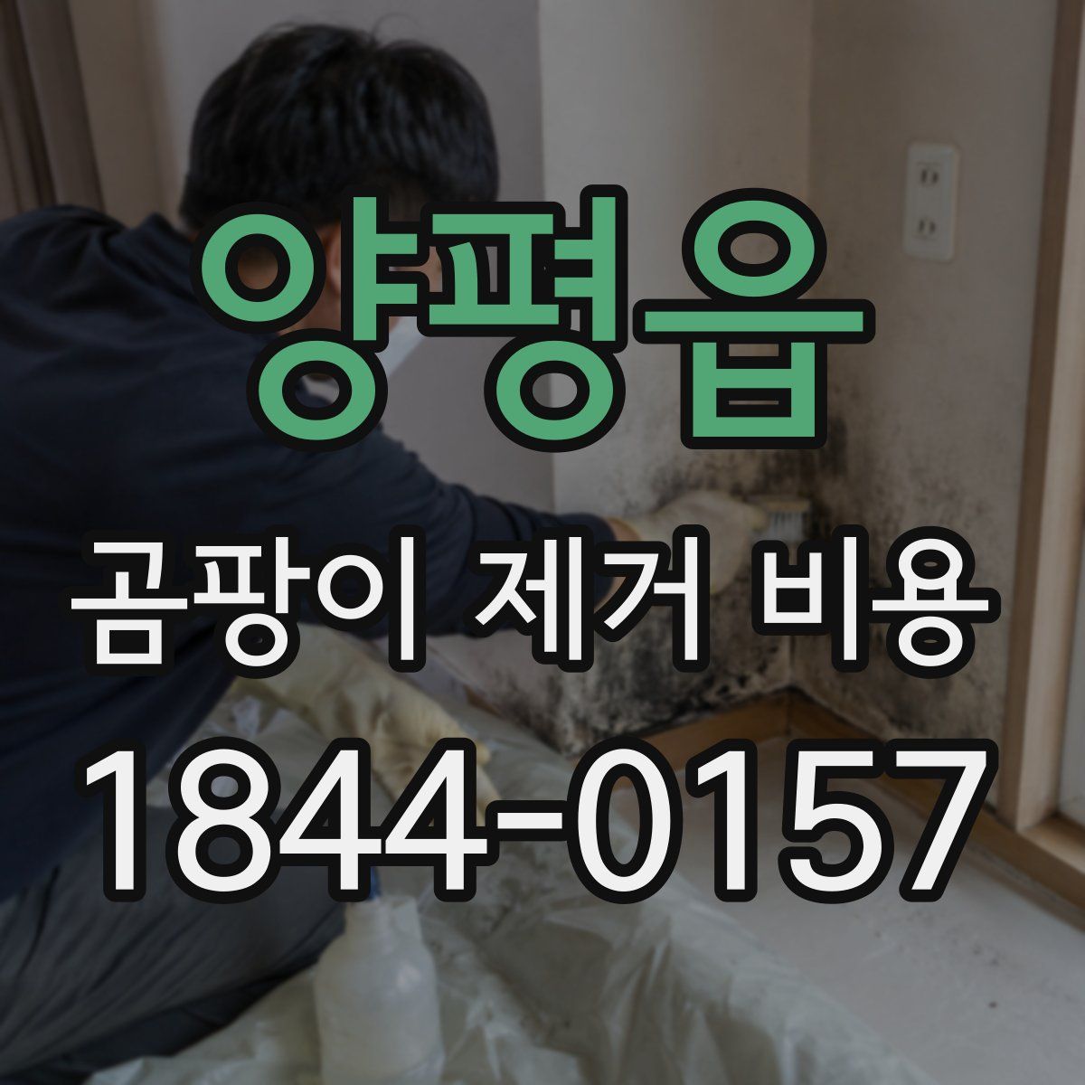 양평읍 곰팡이 제거 비용