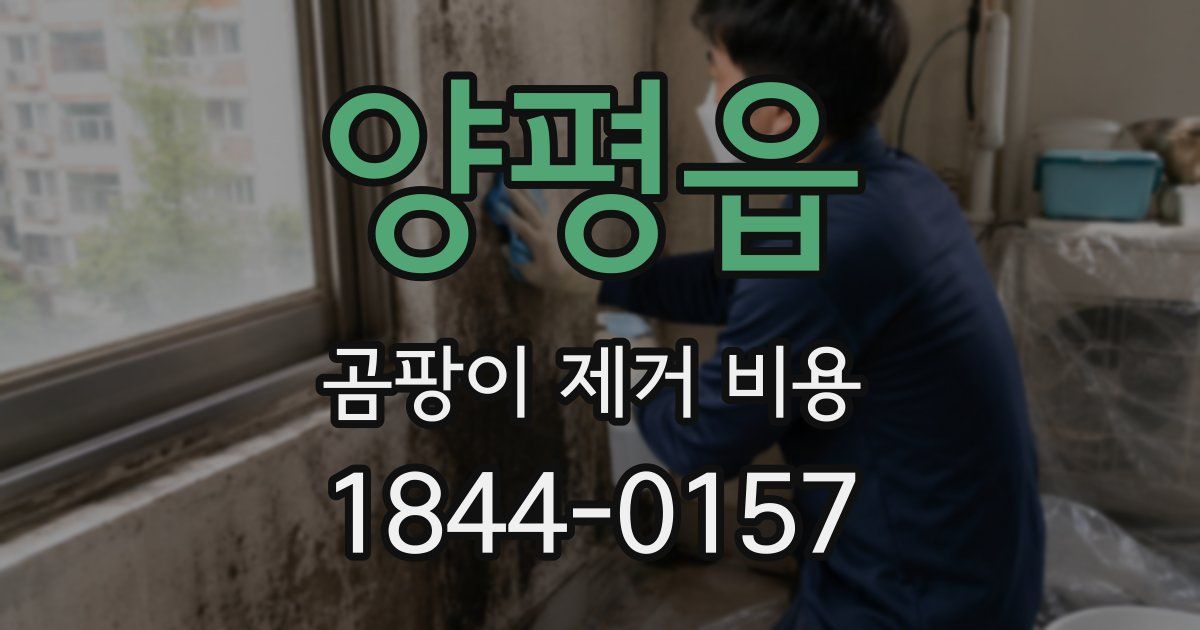 양평읍 곰팡이 제거 비용