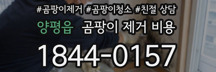 양평읍 곰팡이 제거 비용