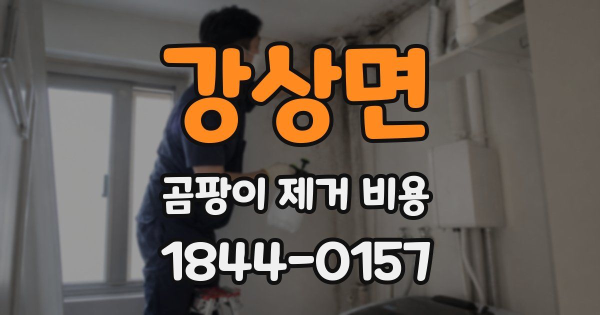 강상면 곰팡이 제거 비용