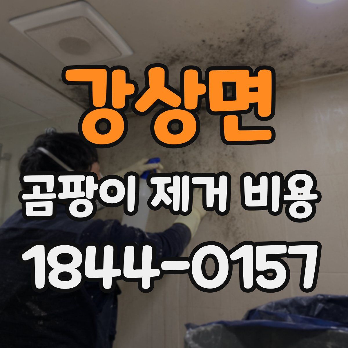 강상면 곰팡이 제거 비용