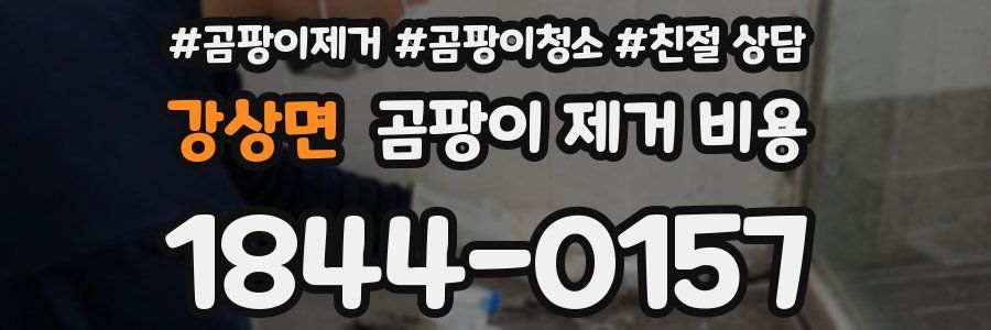 강상면 곰팡이 제거 비용