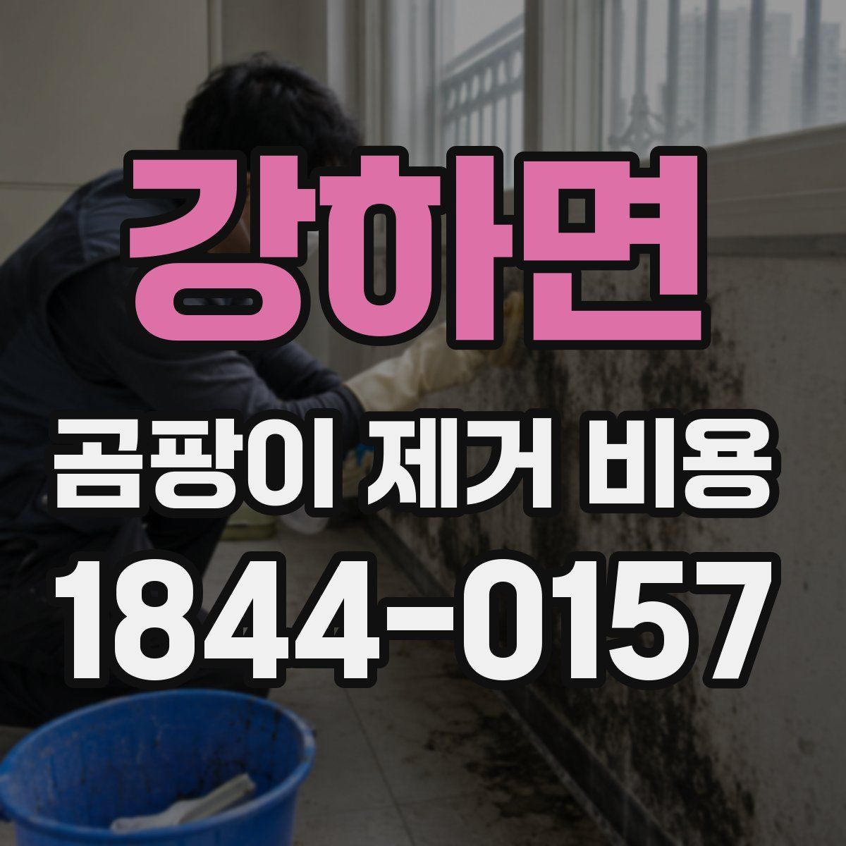 강하면 곰팡이 제거 비용