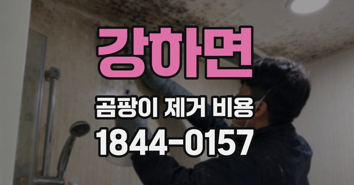 강하면 곰팡이 제거 비용