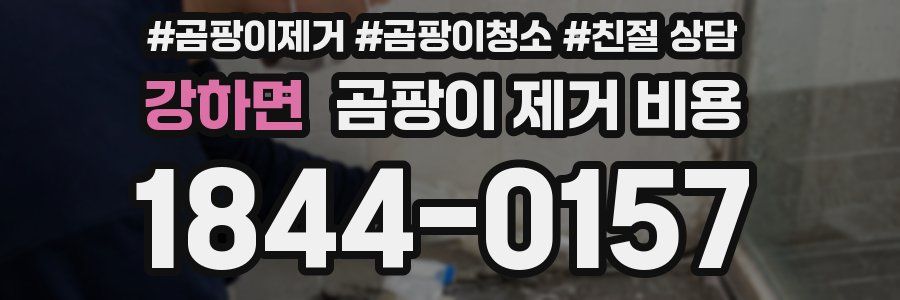 강하면 곰팡이 제거 비용