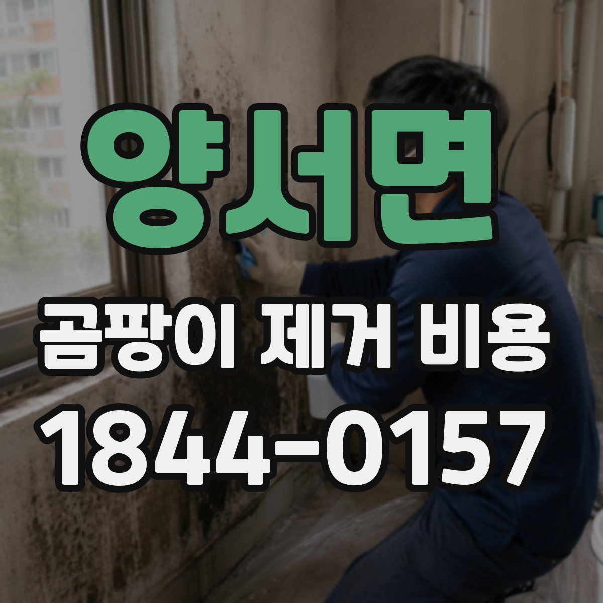 양서면 곰팡이 제거 비용