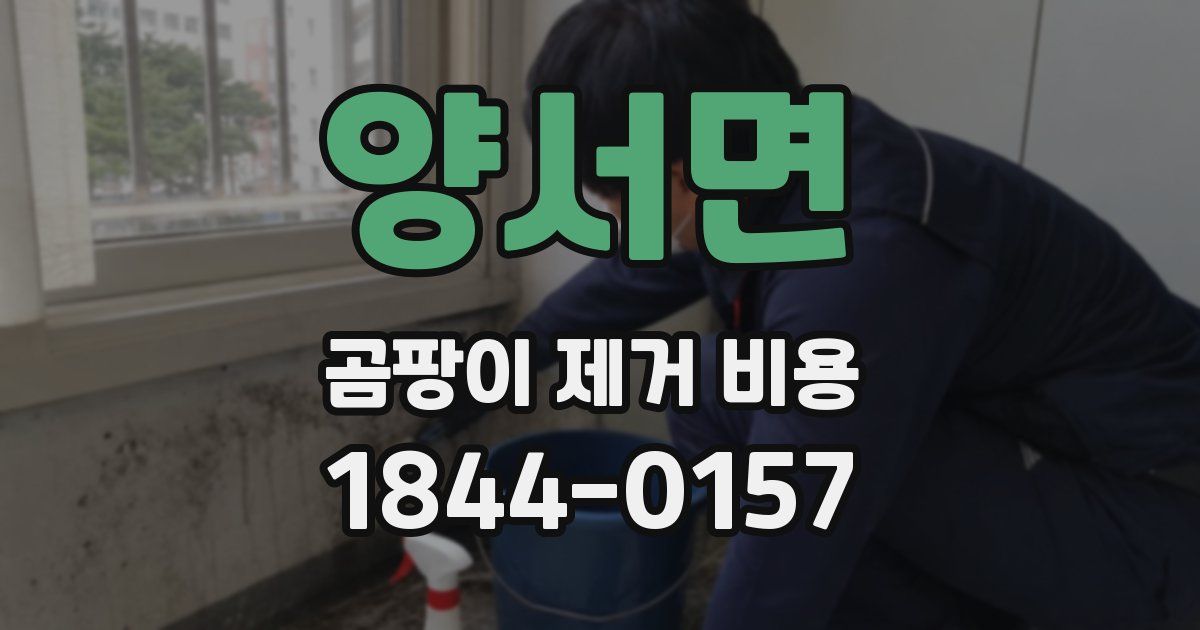 양서면 곰팡이 제거 비용