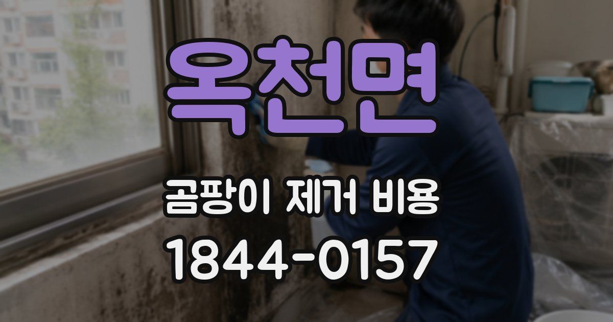 옥천면 곰팡이 제거 비용