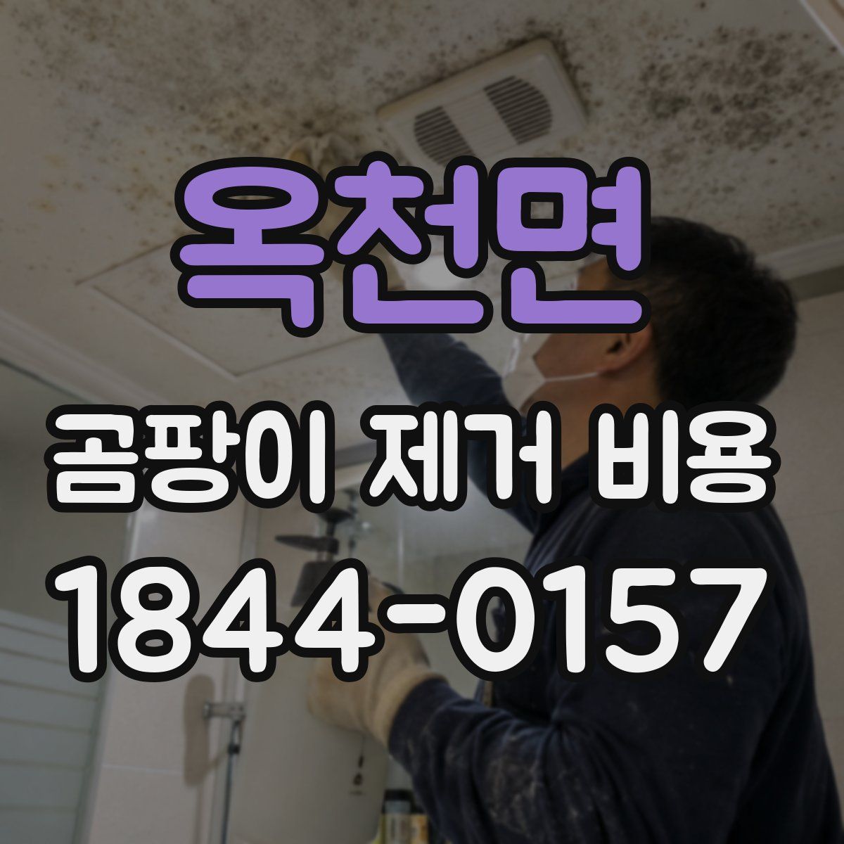 옥천면 곰팡이 제거 비용