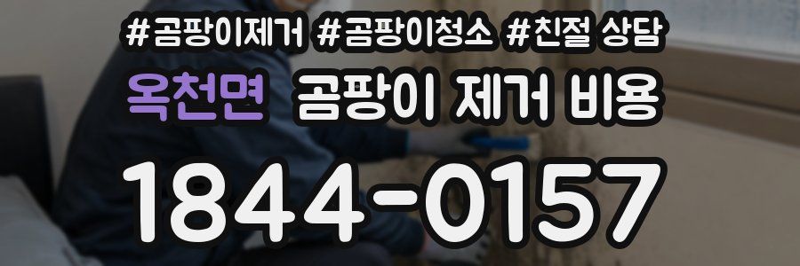 옥천면 곰팡이 제거 비용