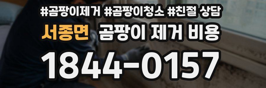 서종면 곰팡이 제거 비용
