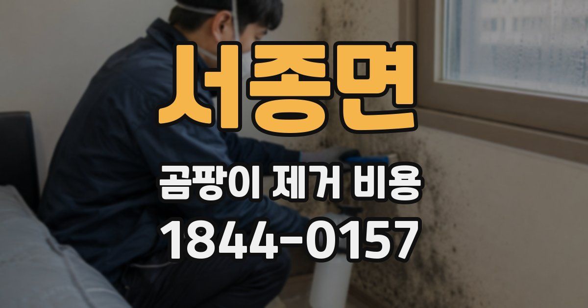 서종면 곰팡이 제거 비용