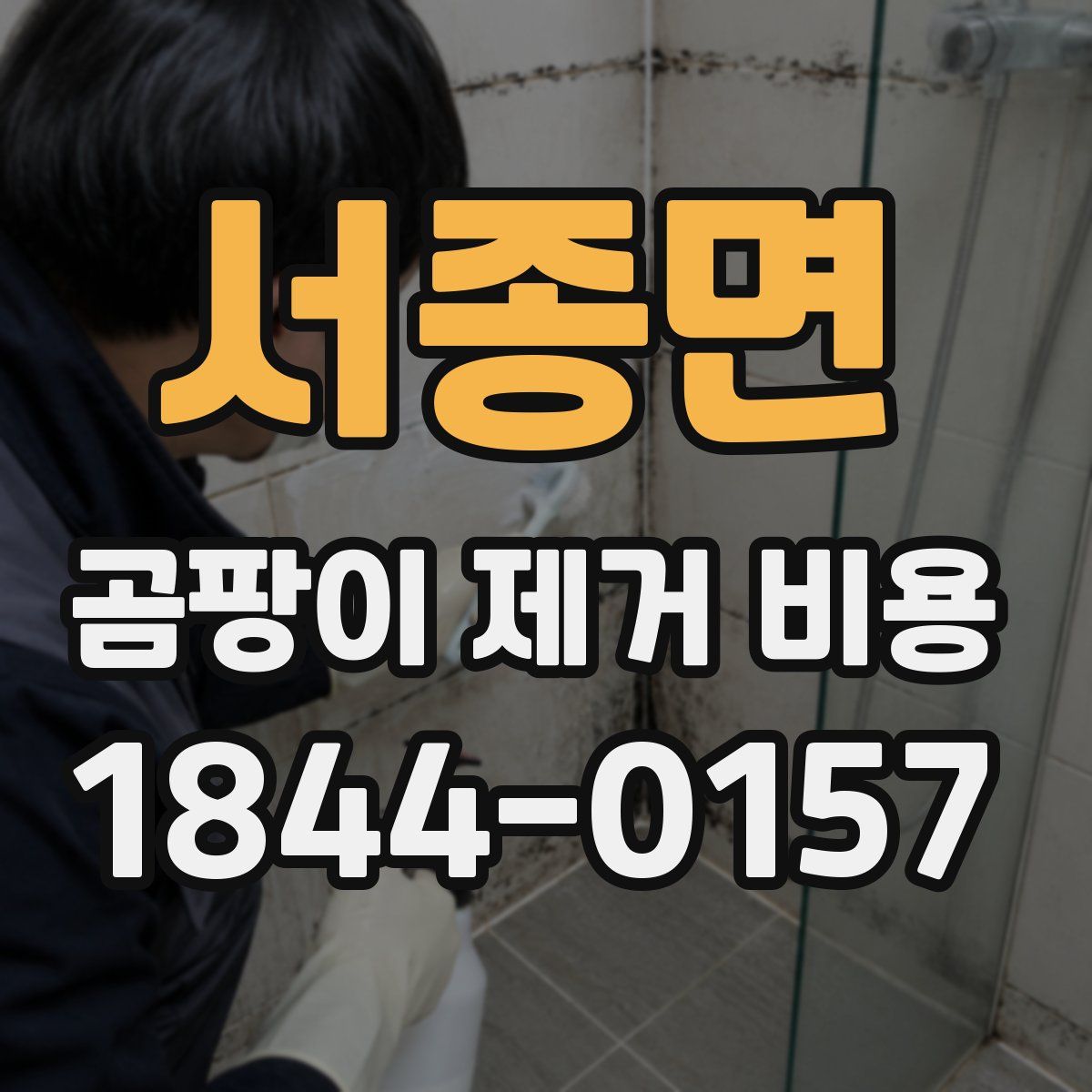 서종면 곰팡이 제거 비용