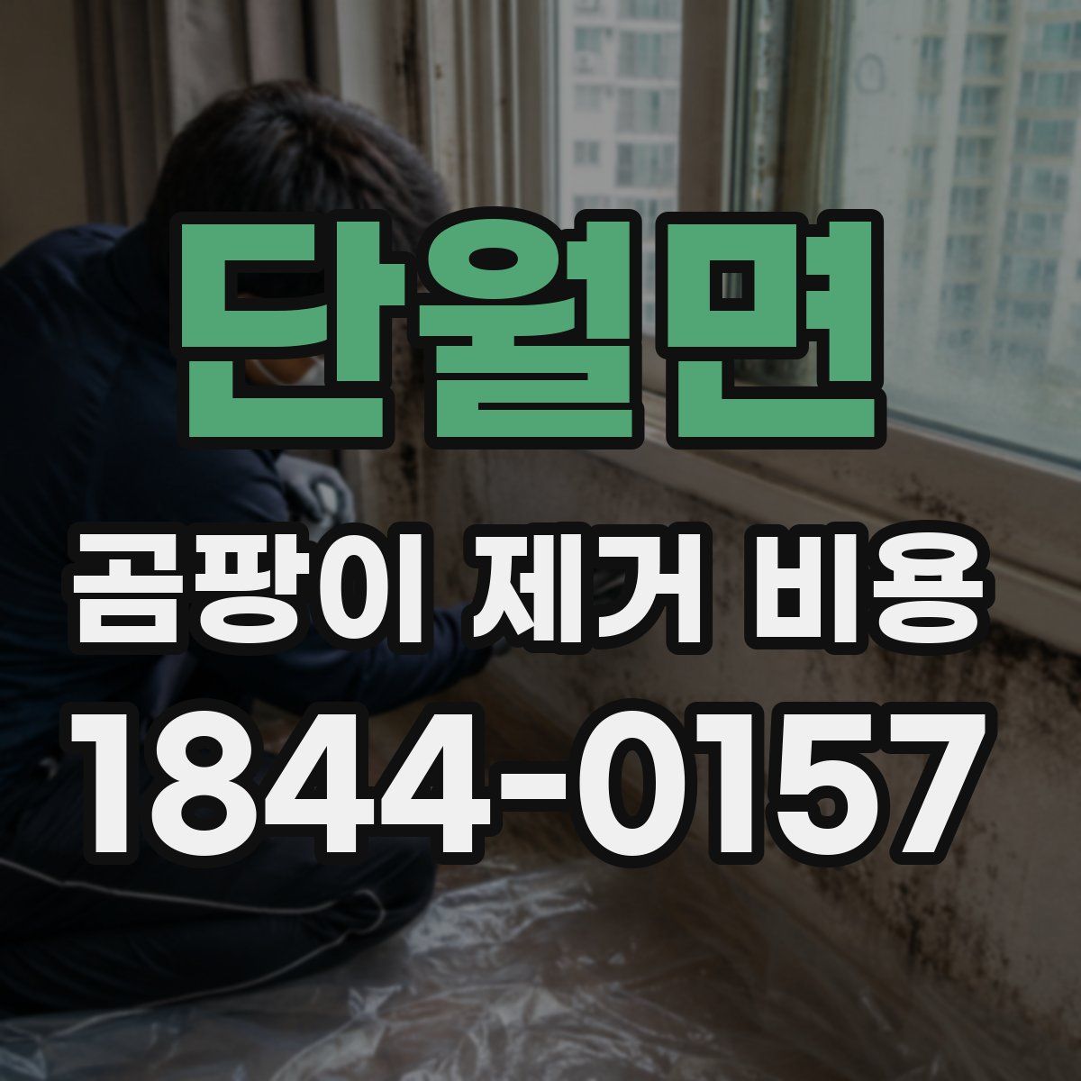 단월면 곰팡이 제거 비용