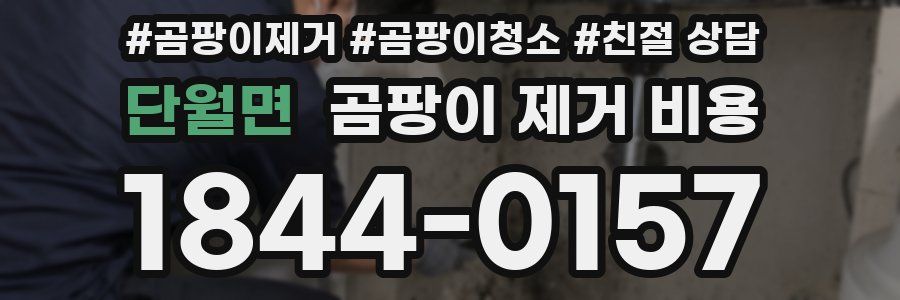 단월면 곰팡이 제거 비용