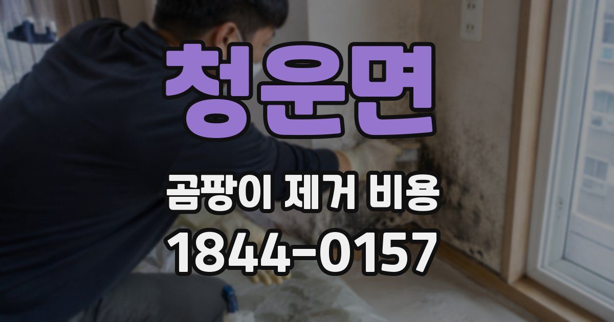 청운면 곰팡이 제거 비용
