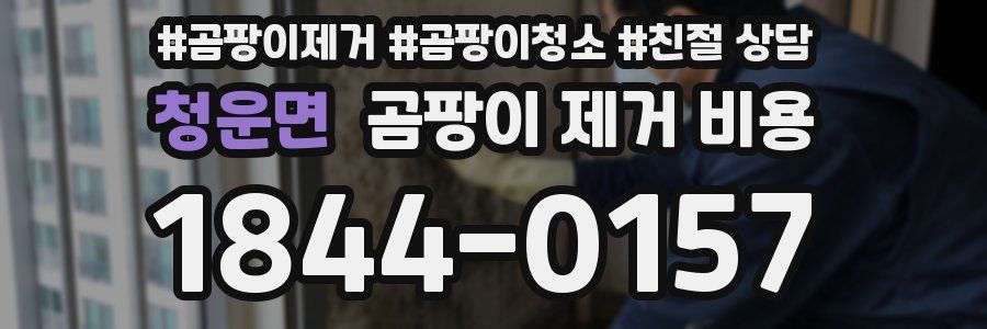 청운면 곰팡이 제거 비용