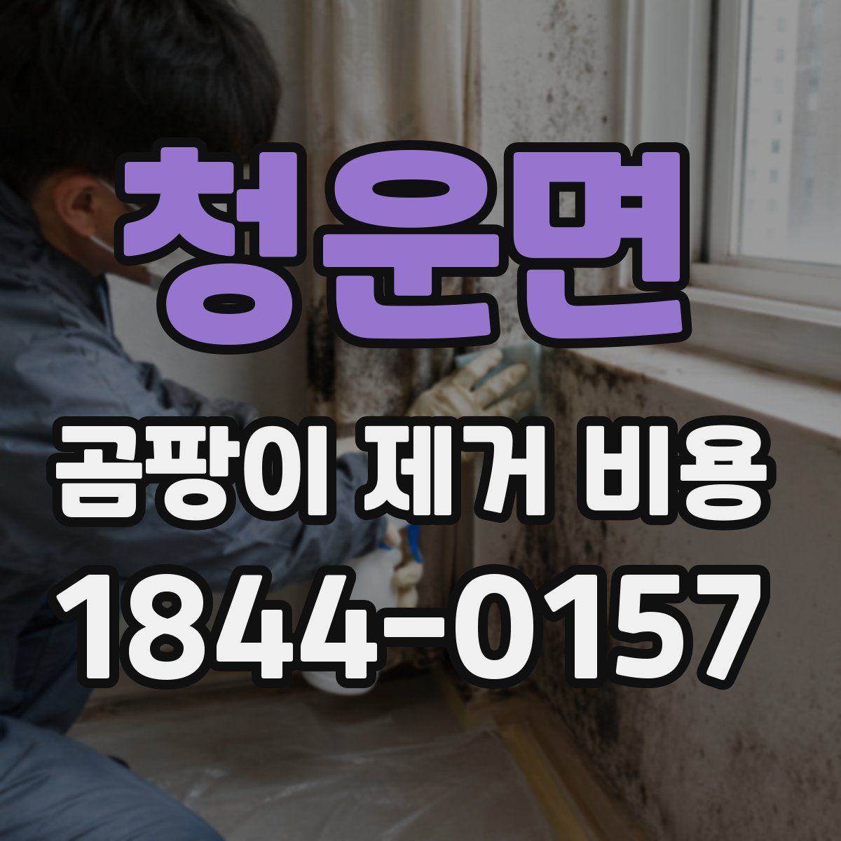 청운면 곰팡이 제거 비용