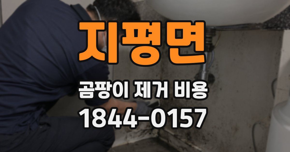 지평면 곰팡이 제거 비용