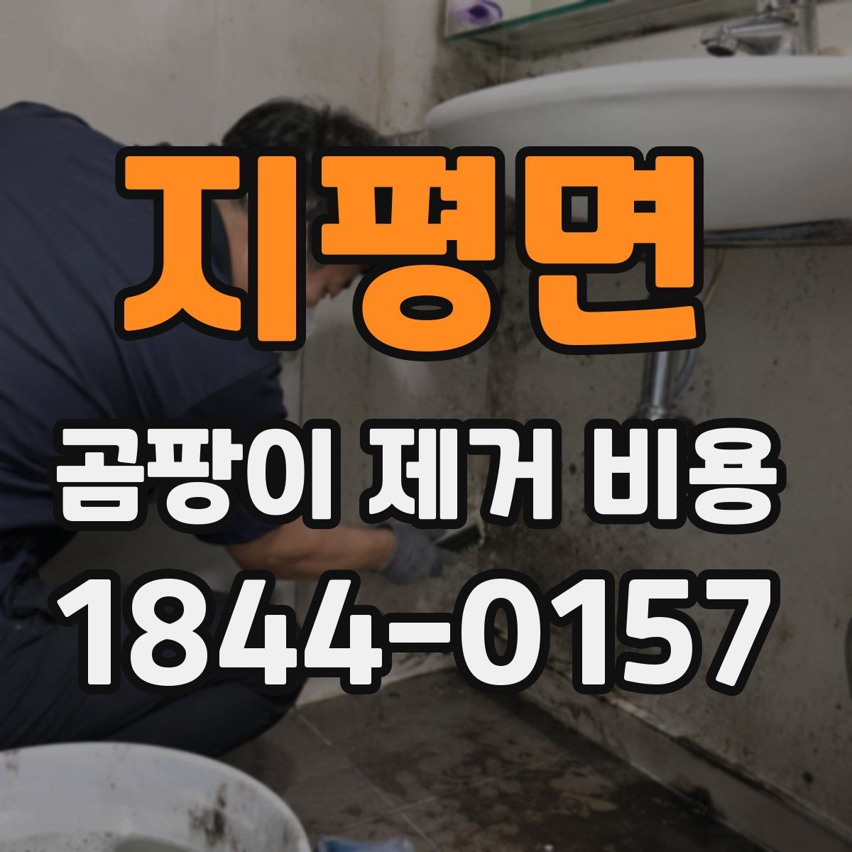 지평면 곰팡이 제거 비용