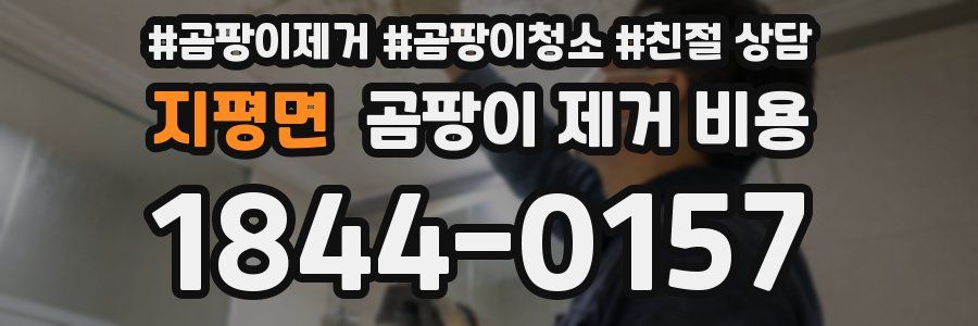 지평면 곰팡이 제거 비용