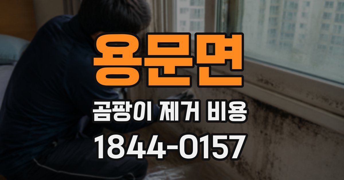 용문면 곰팡이 제거 비용