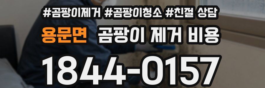 용문면 곰팡이 제거 비용