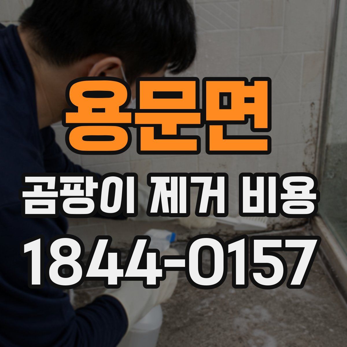 용문면 곰팡이 제거 비용