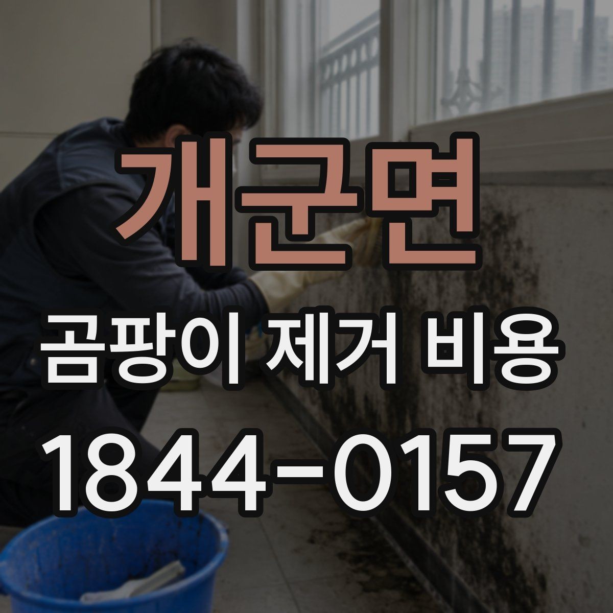 개군면 곰팡이 제거 비용 문의 시 사진이 중요한 이유