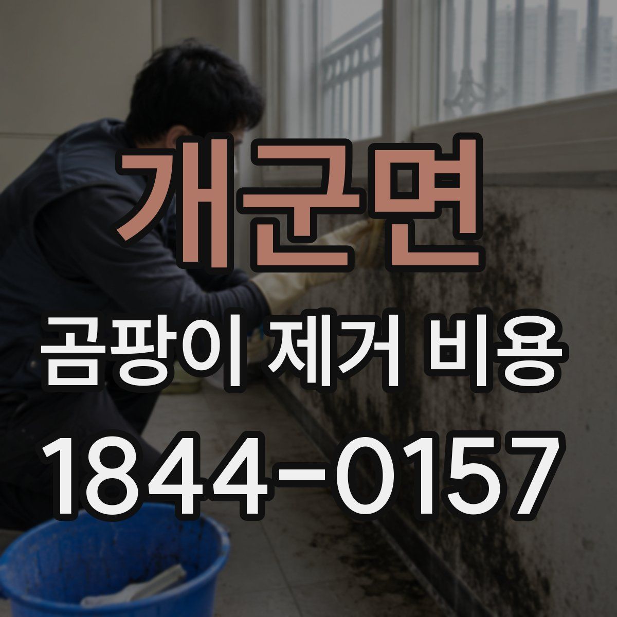 개군면 곰팡이 제거 비용