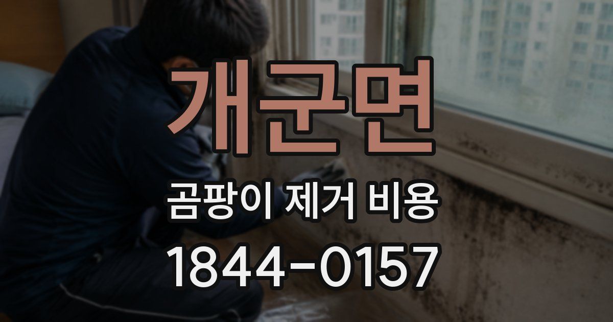 개군면 곰팡이 제거 비용