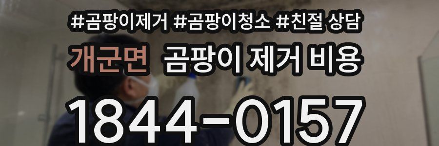개군면 곰팡이 제거 비용
