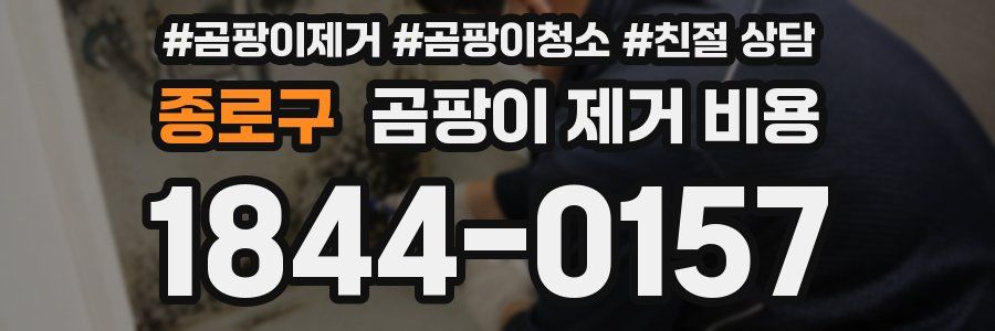 종로구 곰팡이 제거 비용