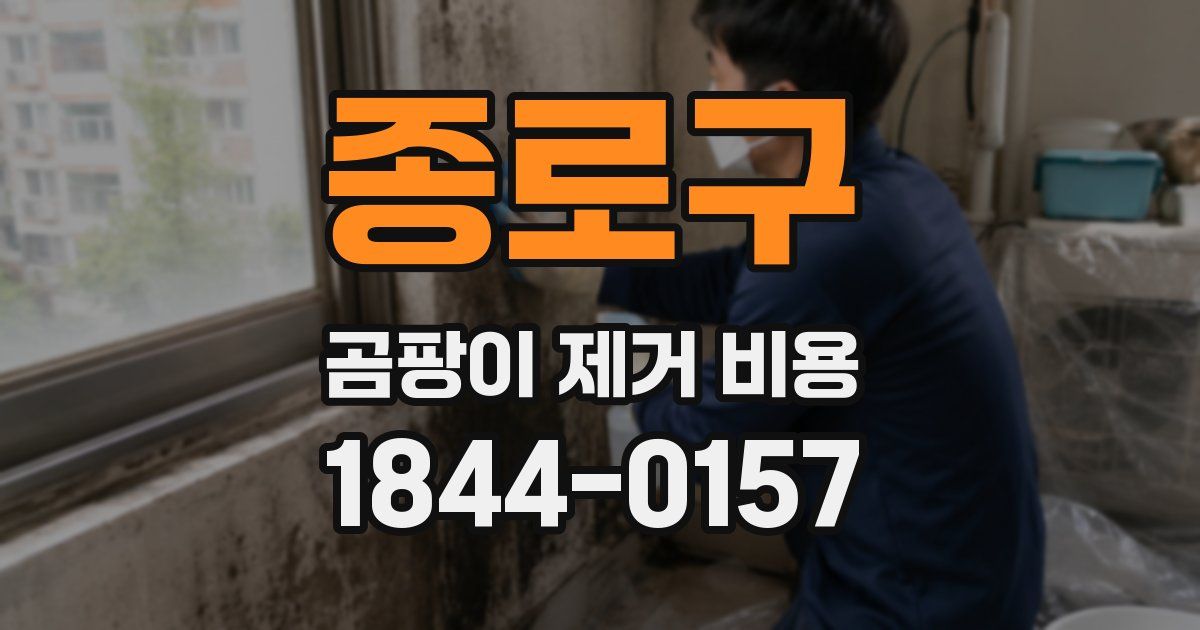 종로구 곰팡이 제거 비용