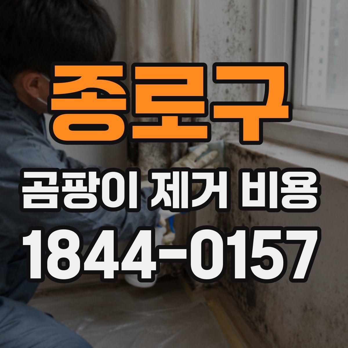 종로구 곰팡이 제거 비용