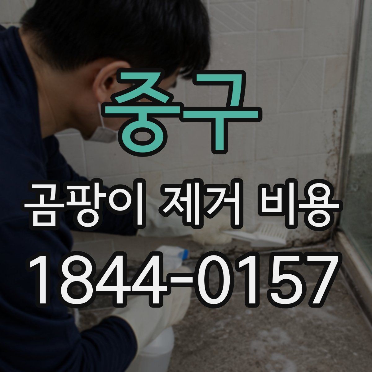 중구 곰팡이 제거 비용 평수와 오염도에 따라 달라지는 기준