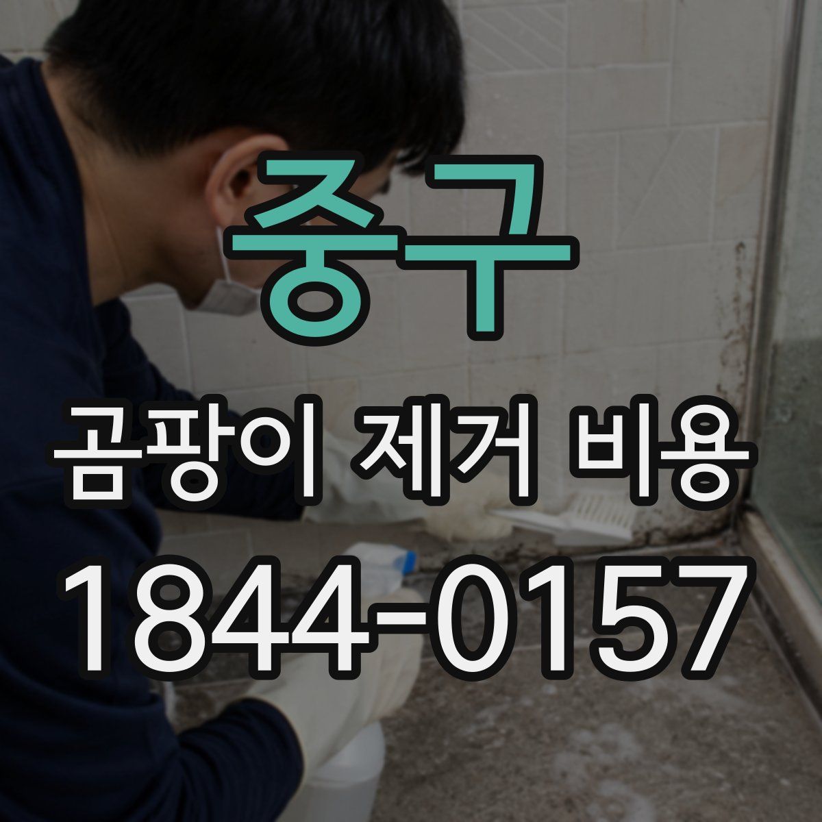 중구 곰팡이 제거 비용