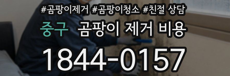 중구 곰팡이 제거 비용