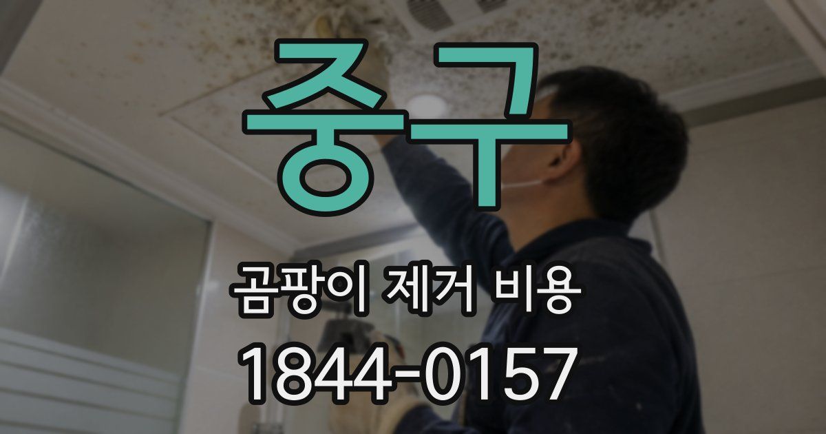 중구 곰팡이 제거 비용