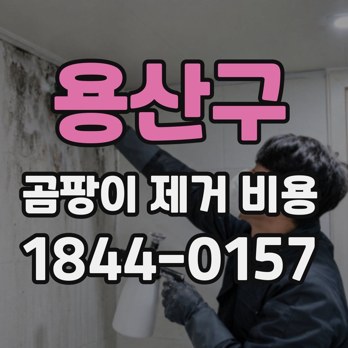 용산구 곰팡이 제거 비용